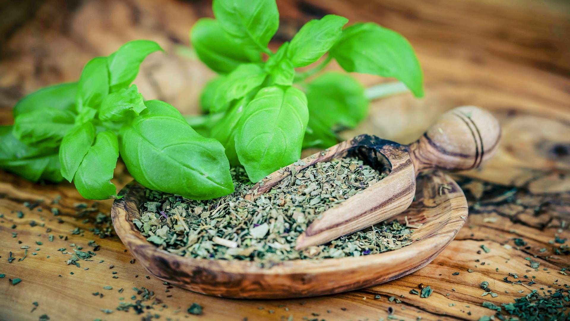 Bundesweiter Rückruf gestartet: Diesen Basilikum sollten Sie nicht ...