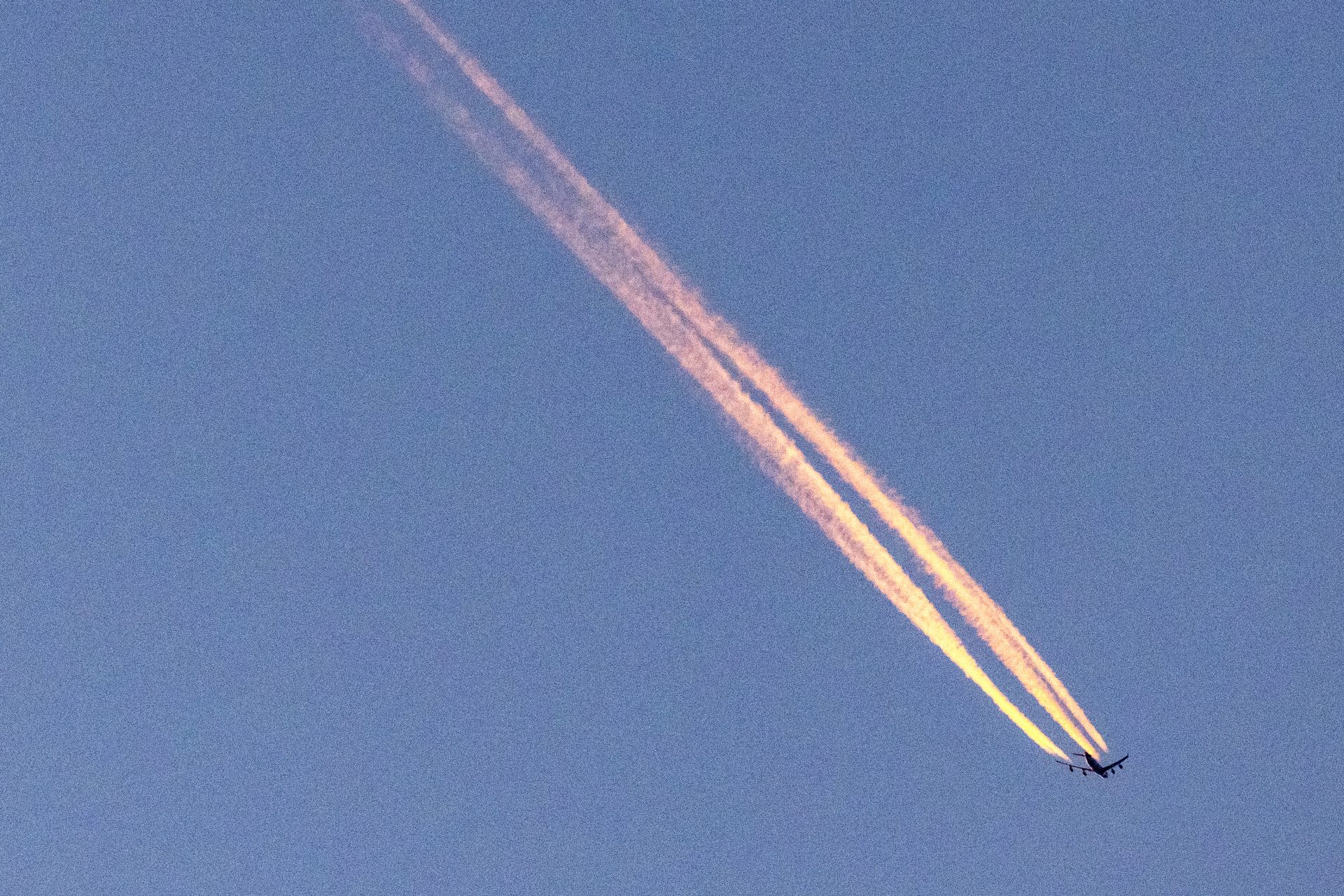 A persistent conspiracy theory