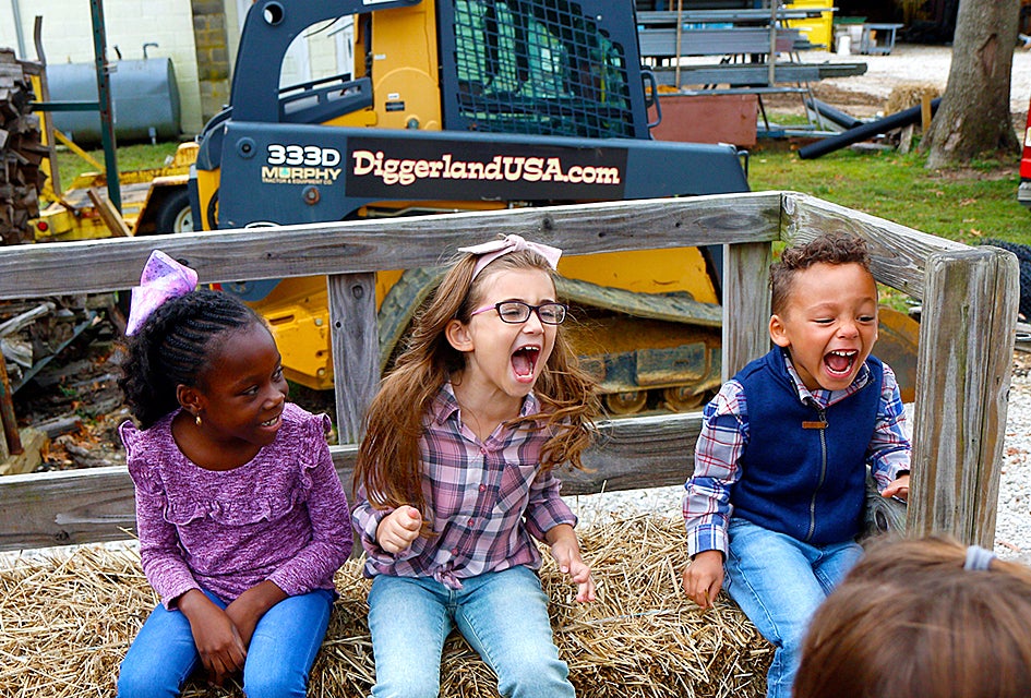 harvest-fests-halloween-light-shows-and-more-things-to-do-this