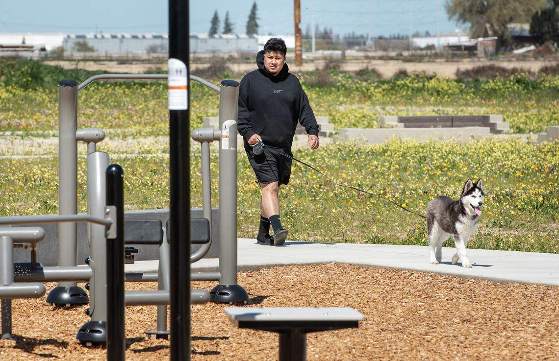 How can I report my Modesto neighbor for not picking up pet poop? What ...