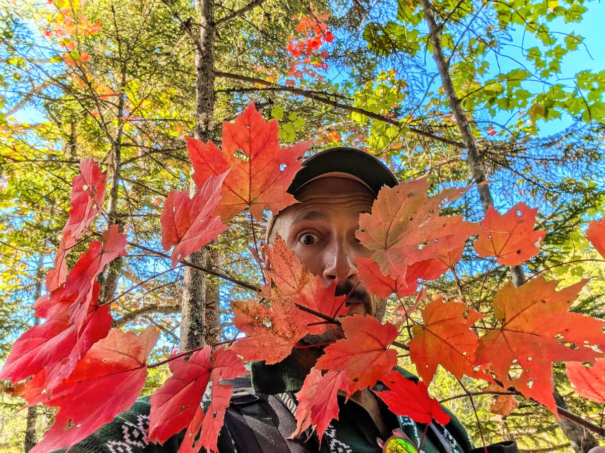 Fall in Maine: Beautiful Road Trip with Changing Colors and Lighthouses
