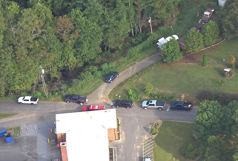 Horse dies after being rescued from fall into well