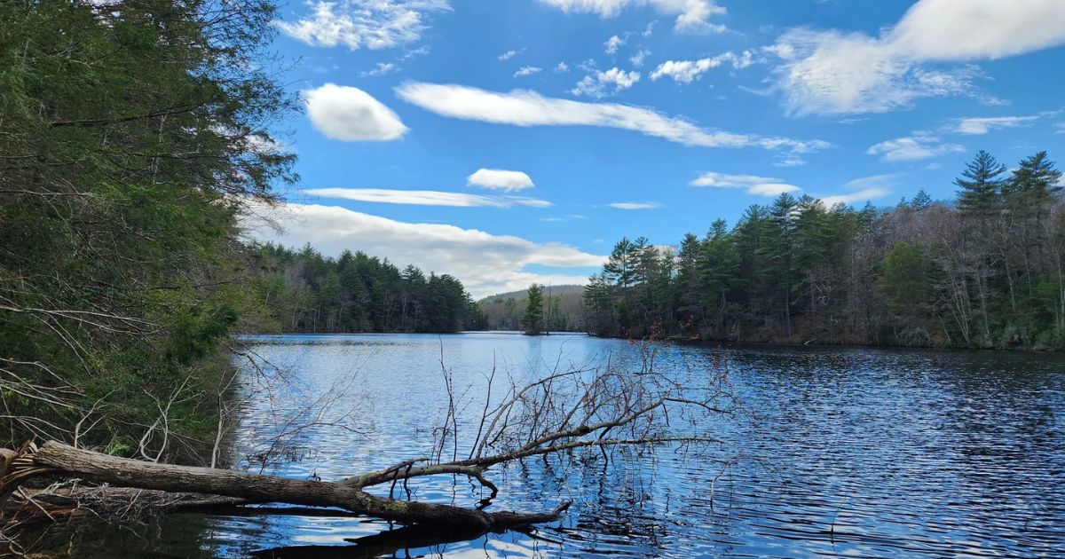 This Blink-And-You'll-Miss-It Town in Connecticut Is So Worth Exploring