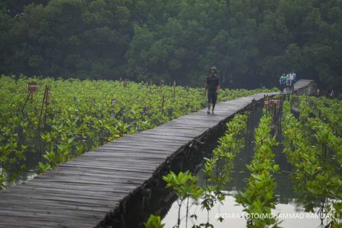 Dorong Ekonomi Warga Pesisir, Pelindo Rehabilitasi 134,5 Ha Mangrove