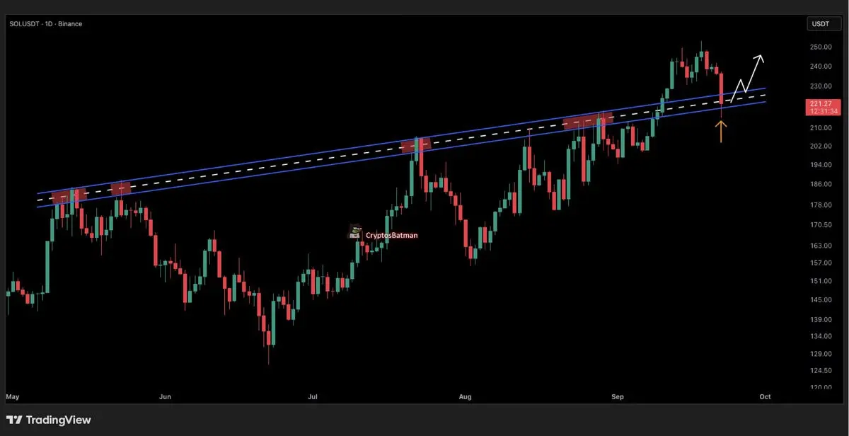 Berita ETF Solana; Prediksi Harga Solana saat SOL Turun di Bawah $220: Harga Remittix Tetap Kuat Di 