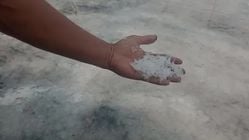 Menengok Tambak Garam Tradisional di Madasari, Pendorong Ekonomi dan Wisata Unik