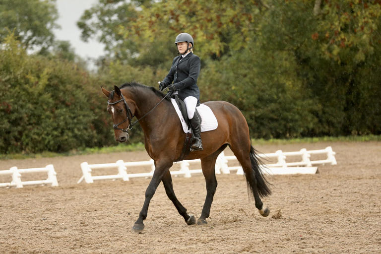 Horse Week: Gransha Equestrian Centre Cryotherapy Ireland Autumn ...