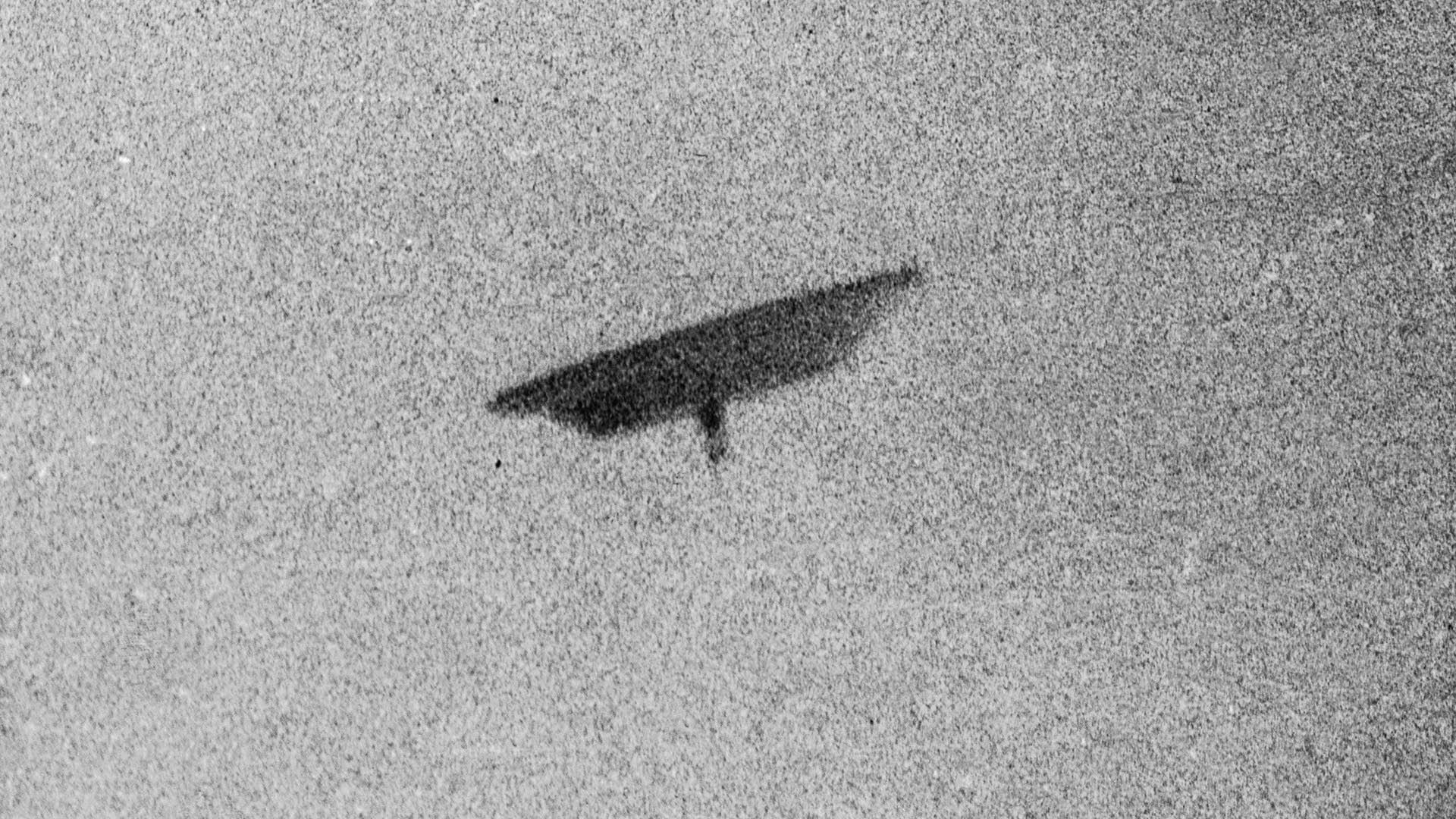 Andere gemelde waarnemingen