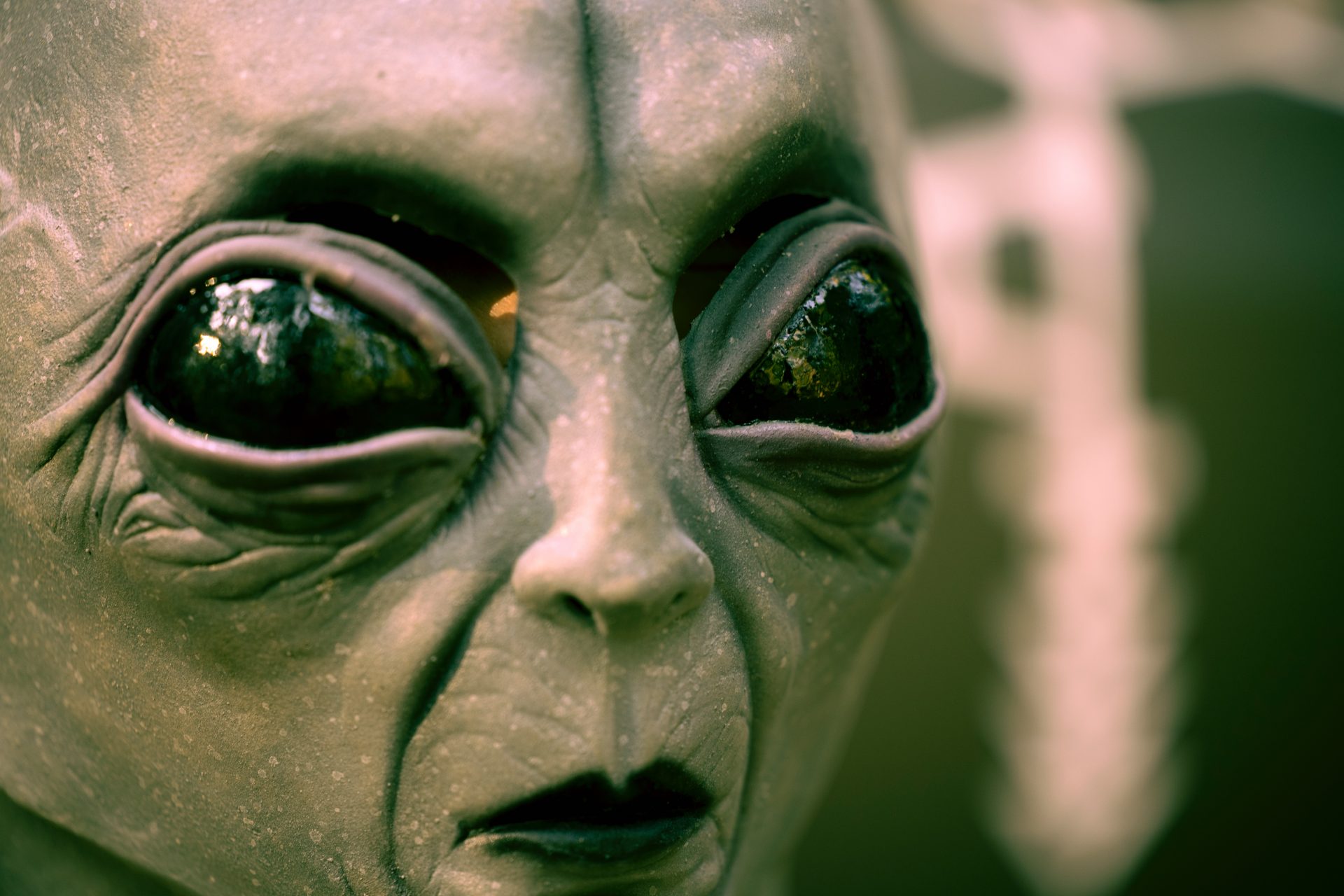 Een alien in Talca