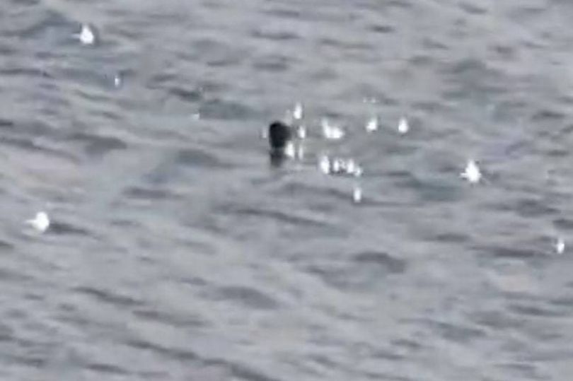 Scotland's Loch Ness Monster 'caught by Navy' in World War 2 in new evidence