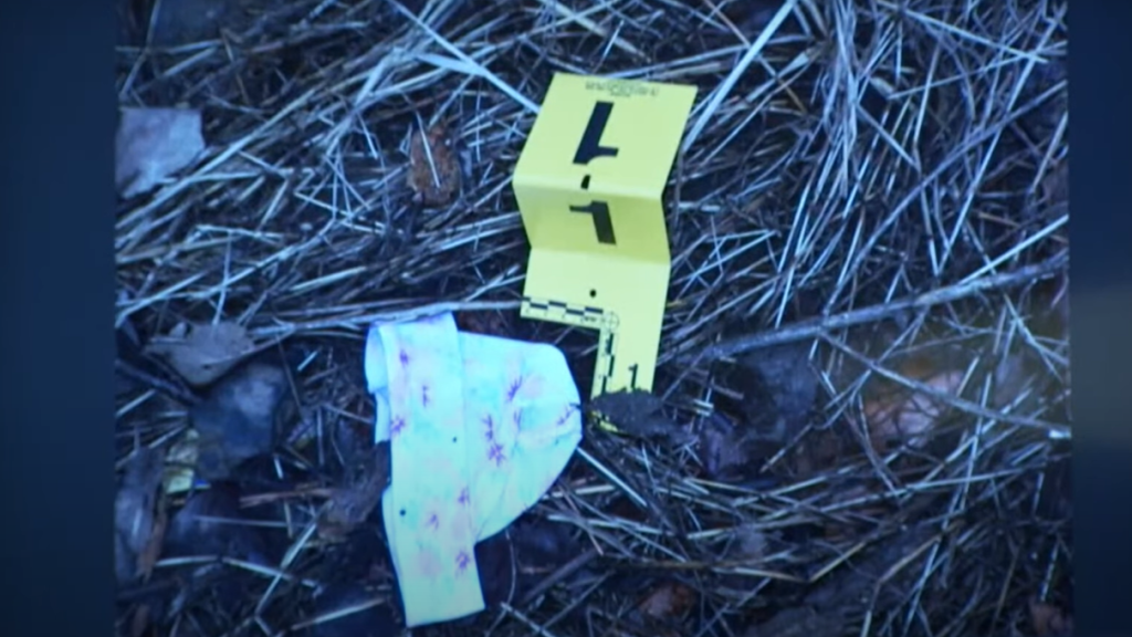 Baby discovered in pile of leaves in Brooklyn