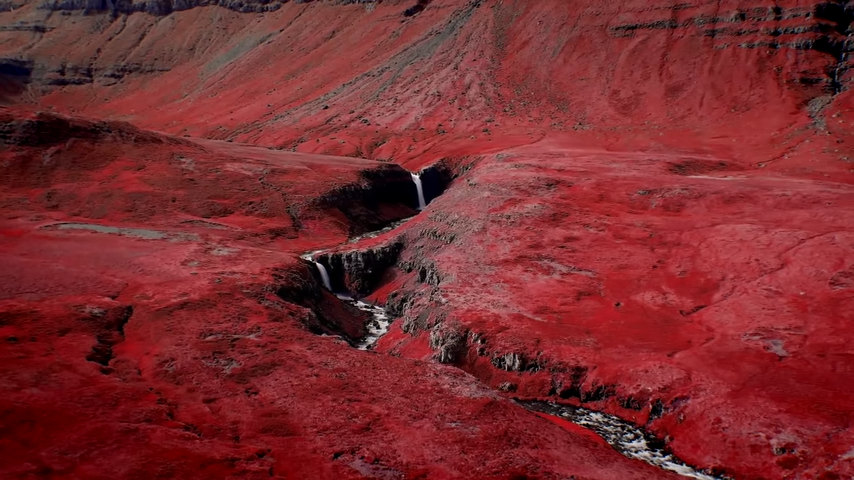 Red Plants on Kepler-186f? The Science Behind Alien Photosynthesis