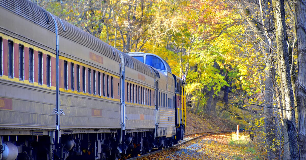 A train is surrounded by fall foliage.