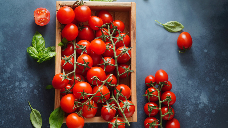Wooden box of tomatoes on the vine