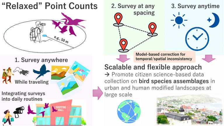 Flexible birdwatching framework lets citizen scientists collect data ...