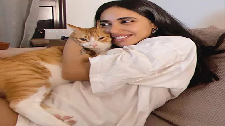 آية سماحة وقططتها