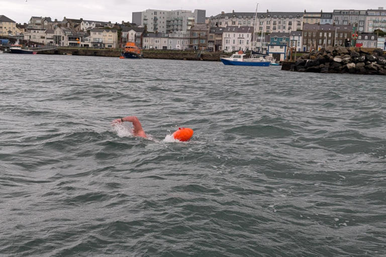 in-pictures-local-teachers-port-to-port-swim-raises-15-000-for-charity