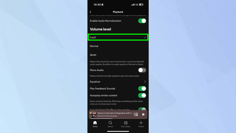 Spotify volume level