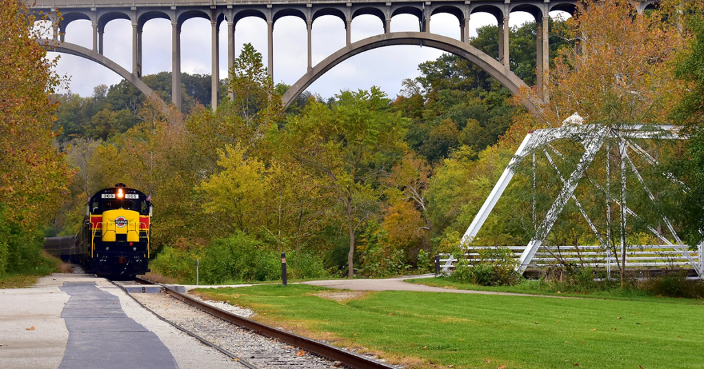 A train passes under a bridge with fall leaves.