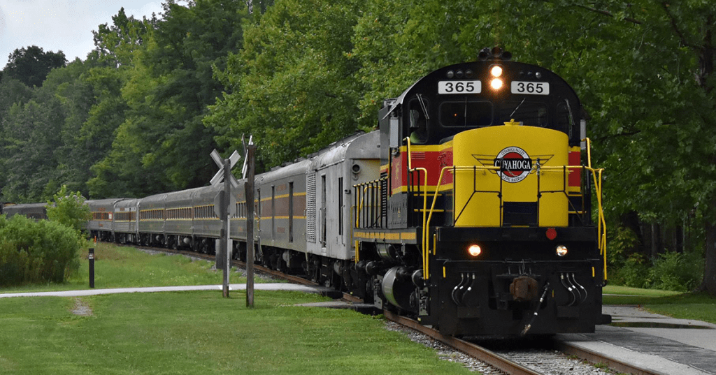 A train with yellow front passes a background of green trees.