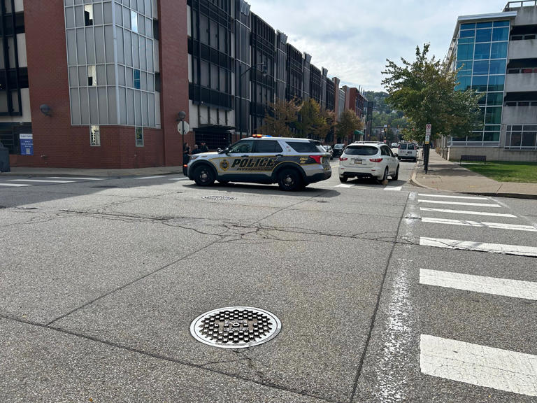 Woman in critical condition after being hit by car while crossing a