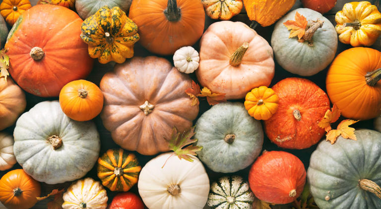 The Meaning and Symbolism Behind 13 Different Halloween Pumpkin Colors