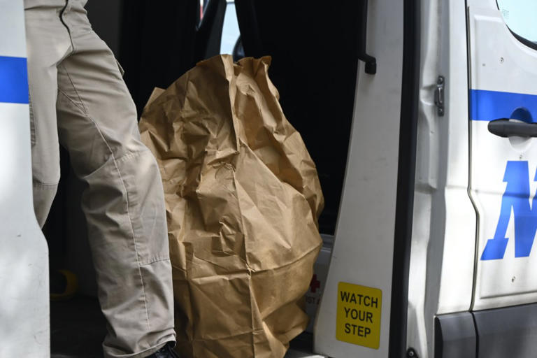 Skeletal remains found near NYC strip mall believed to be nurse who