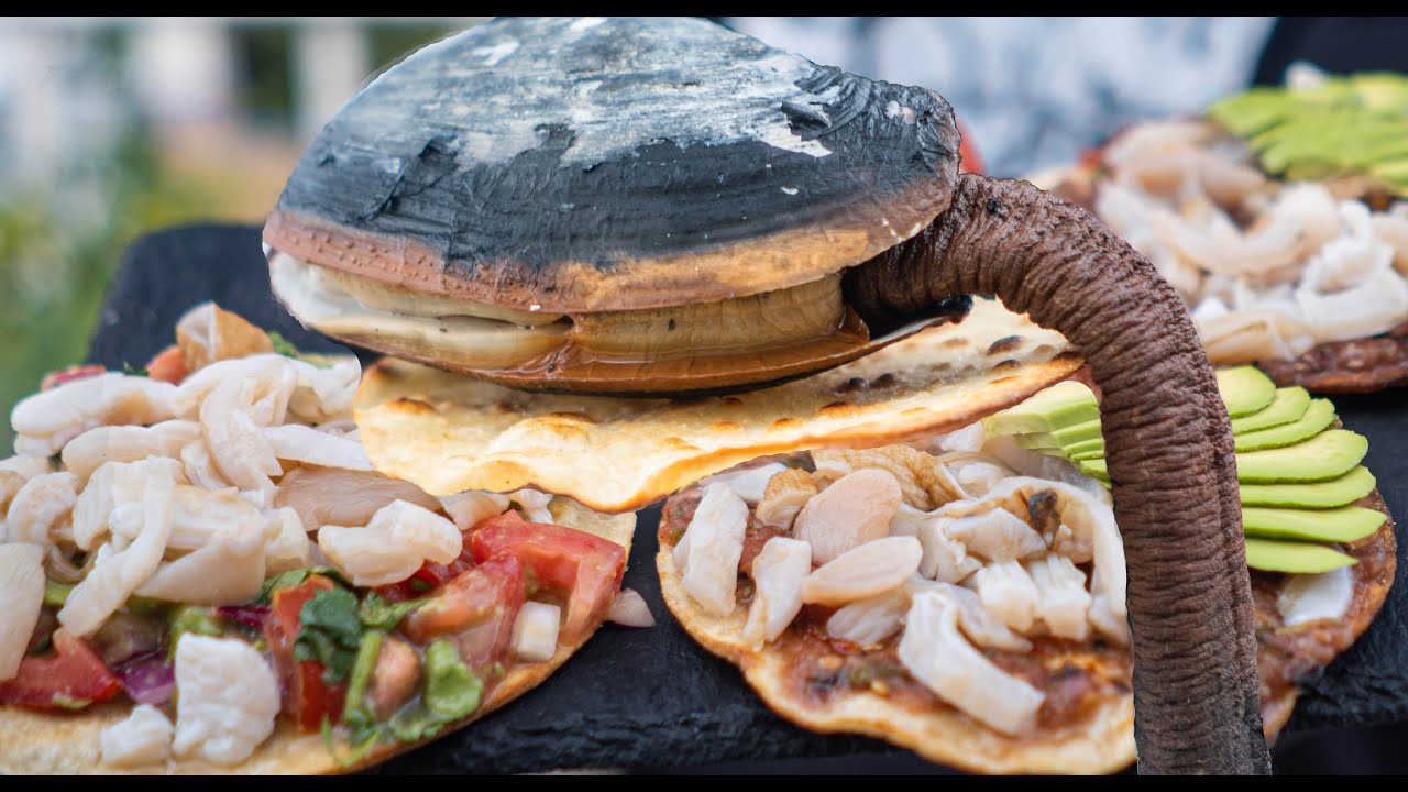 These weird clams squirt so much | Strange but tasty clam tostada ...