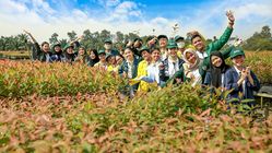Catat Tanggalnya! Jadwal dan Cara Cek Hasil Seleksi Tahap 1 Beasiswa Tanoto 2026