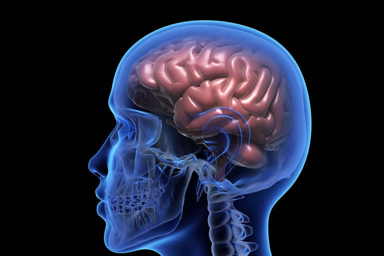 Scientists discover way to see tiny brain clusters that may trigger ...