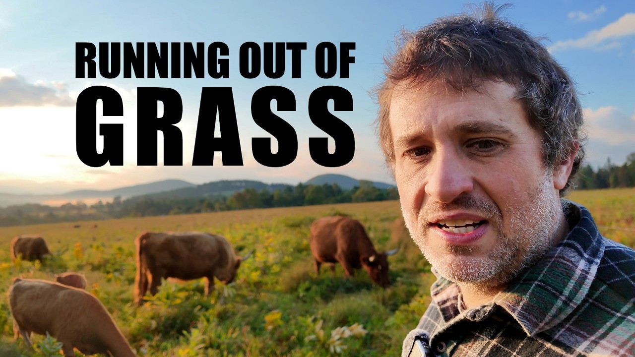 Vermont farm struggles as severe drought threatens livestock feed