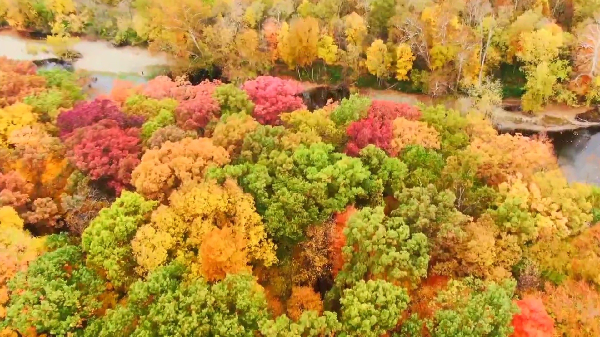 best-road-trips-to-see-fall-foliage-catskills-columbus-more