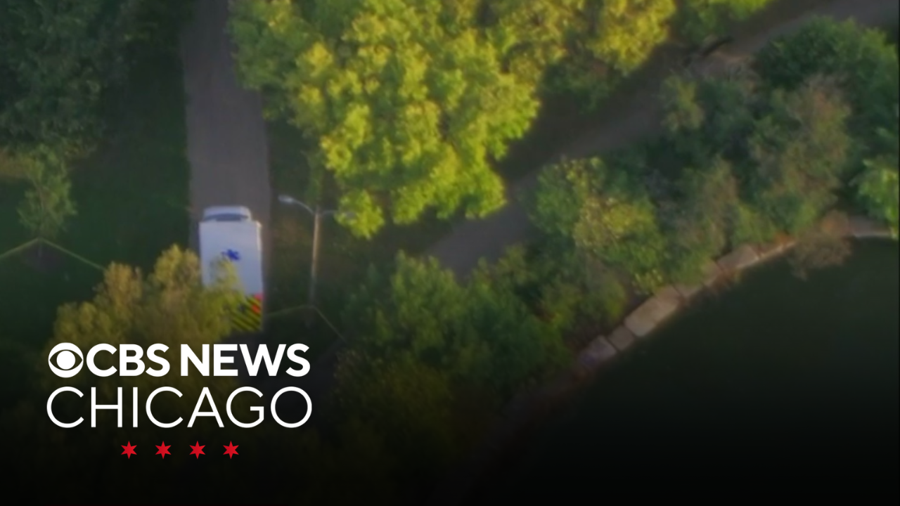 Body Pulled From Lagoon On Chicago S Southwest Side