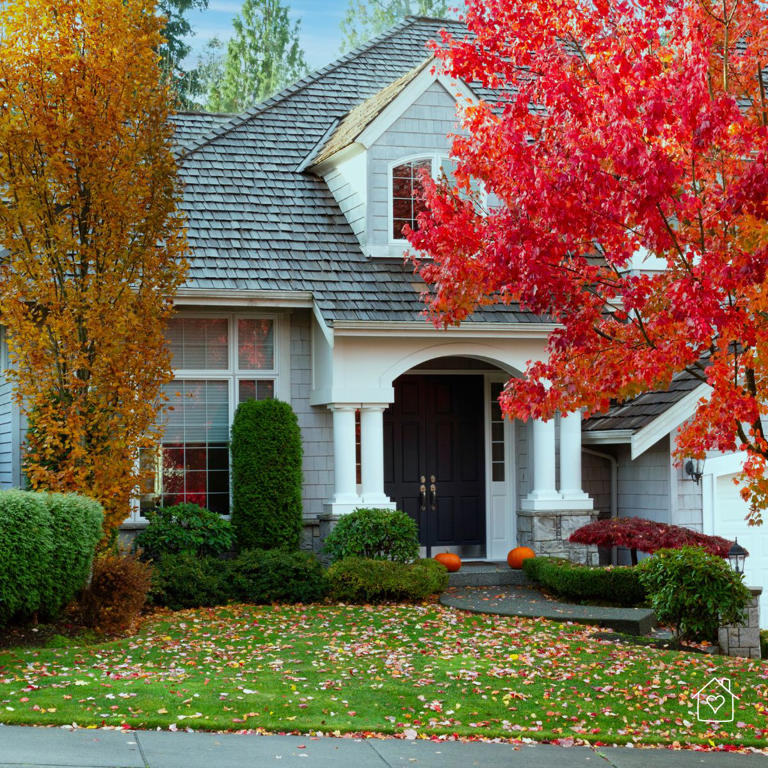 Picture of Let there be light: How to increase natural lighting in your home