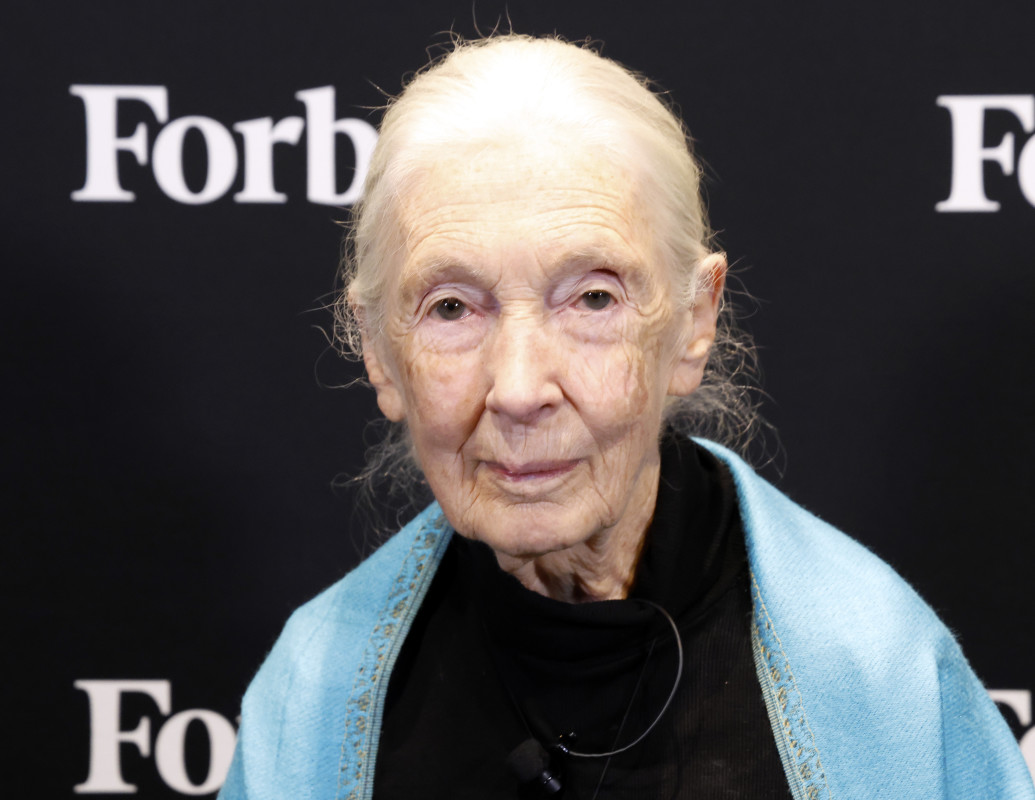 2025-forbes-sustainability-summit