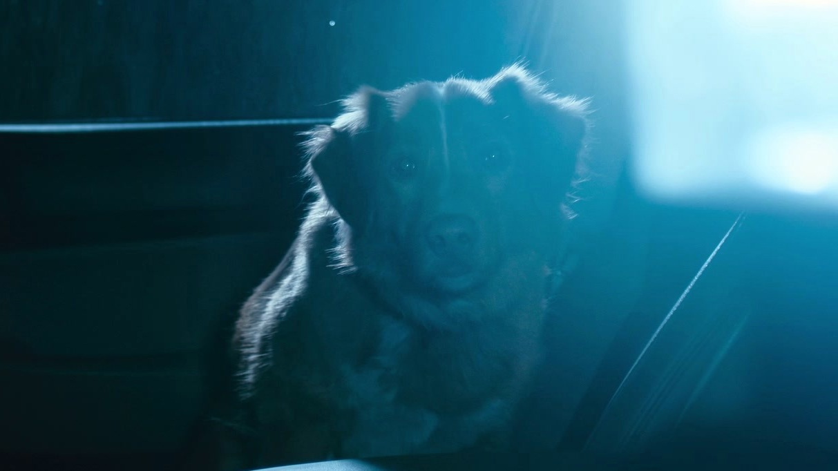 good-boy-there-we-go