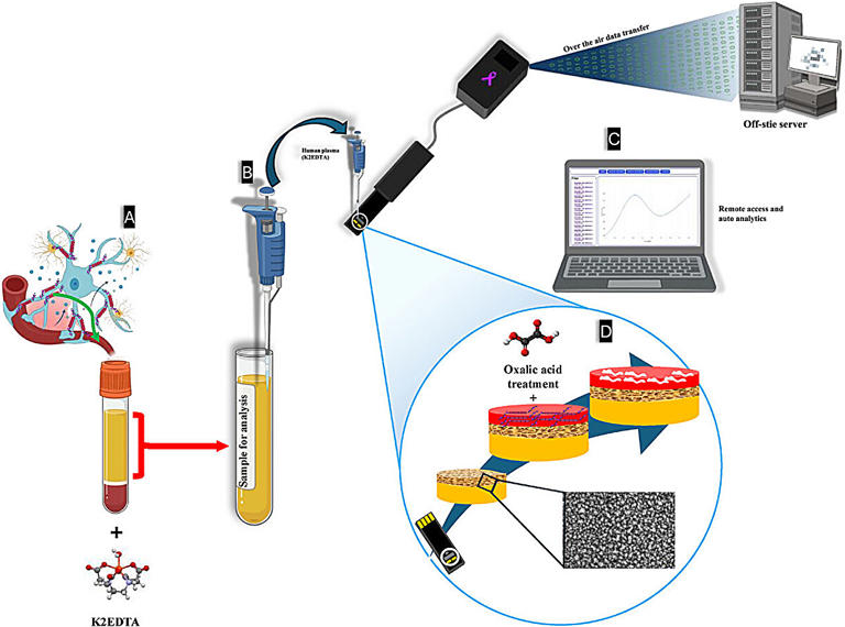 Scientists create affordable, AI-powered tests for early detection of ...