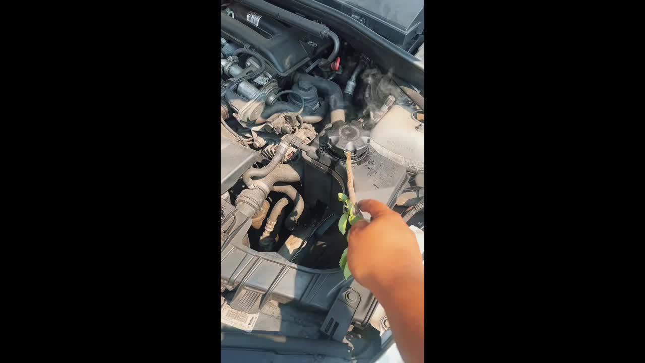 Car engine overheats and sprays coolant in Bucuresti, Romania