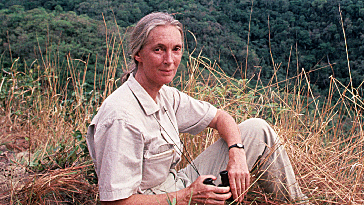 Jane Goodall Dies While on Speaking Tour(01)