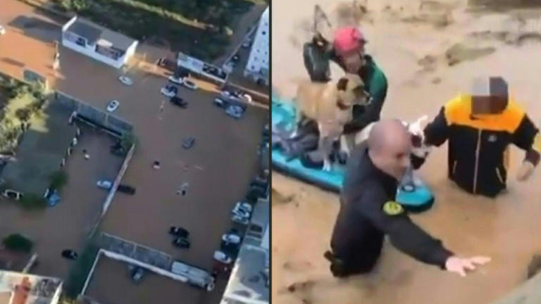 El (deity) visual data 2