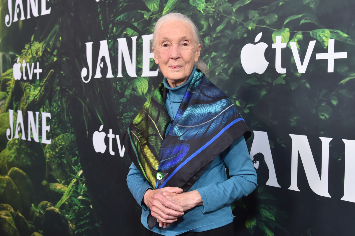 Official Cause of Death Revealed for Jane Goodall