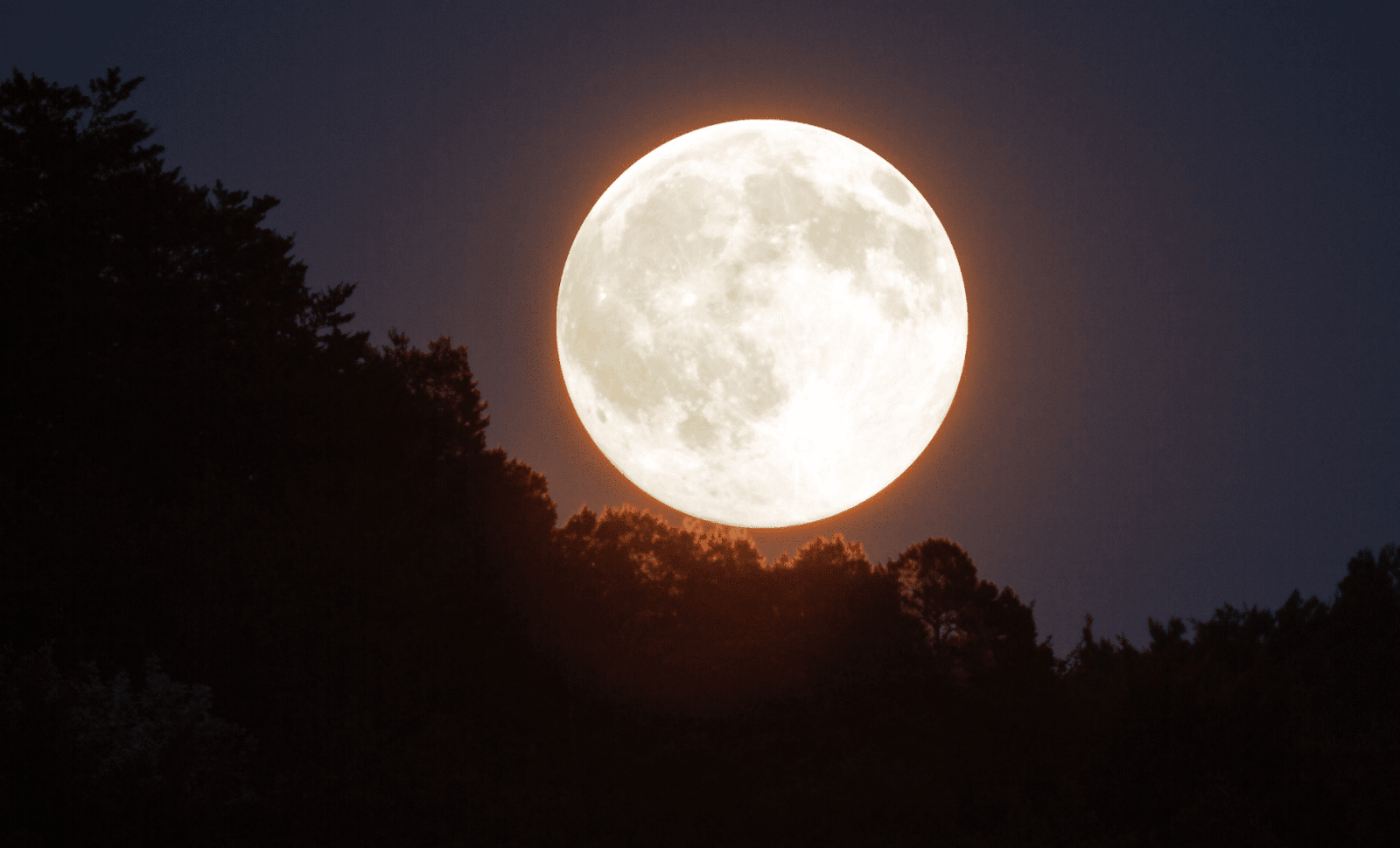 Mark Your Calendar: The 2025 Harvest Moon in October Is a Rare ...