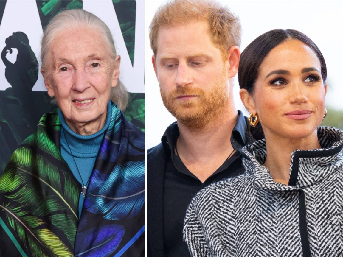 Harry und Meghan Jane Goodall "hielt unseren Sohn Archie im Arm"