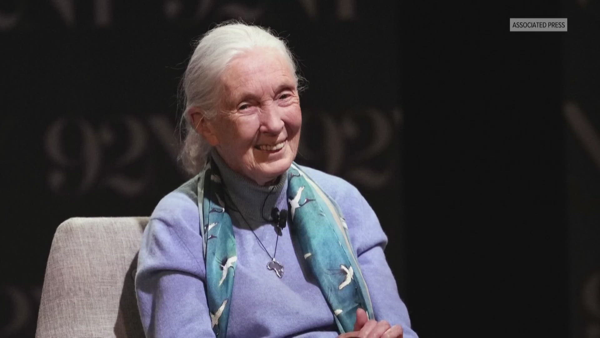 Famed primatologist Jane Goodall dies at 91 while on speaking tour in