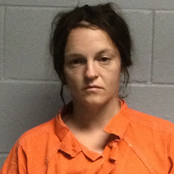 13 arrested, stolen property recovered after Polk County drug bust