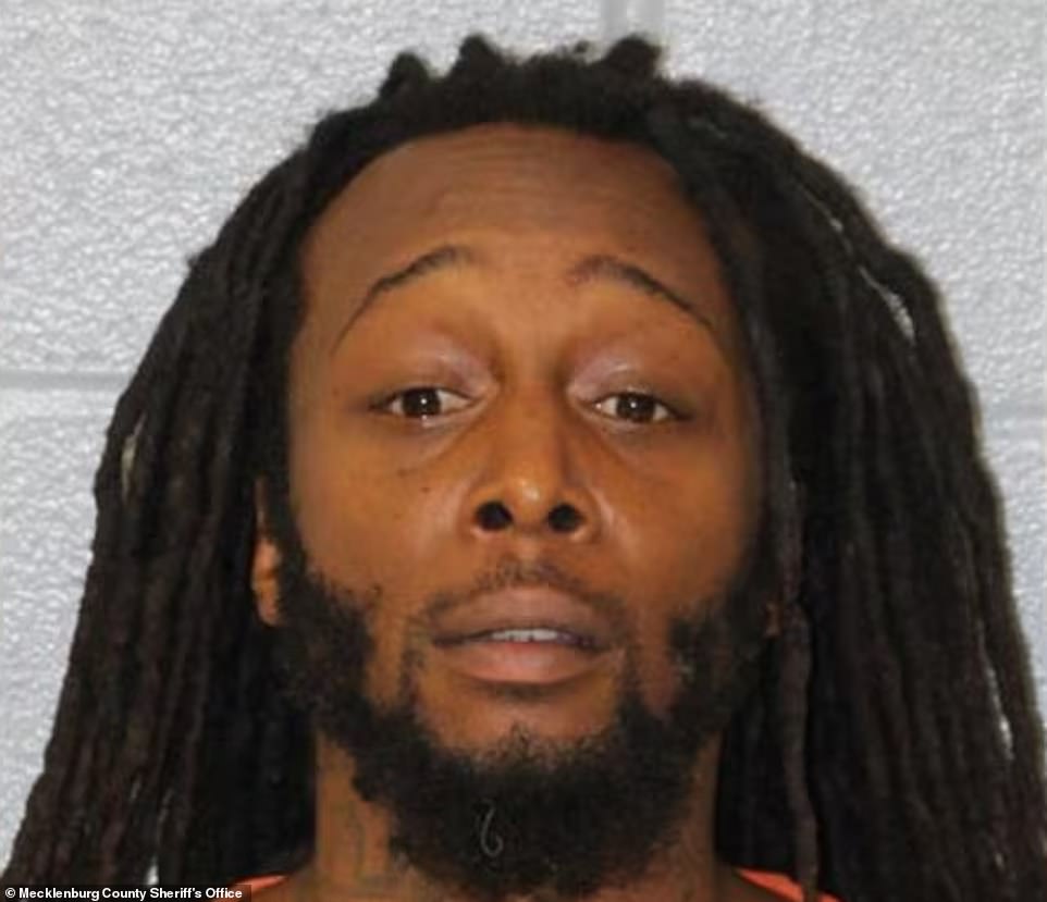 Chaos revealed in 911 calls after Ukraine girl stabbed on train