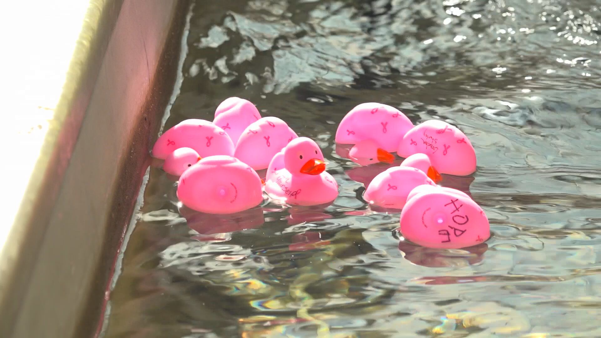 AA1NJFCM Kicau untuk Penyembuhan Kanker Payudara dalam Bulan Kesadaran Kanker Payudara