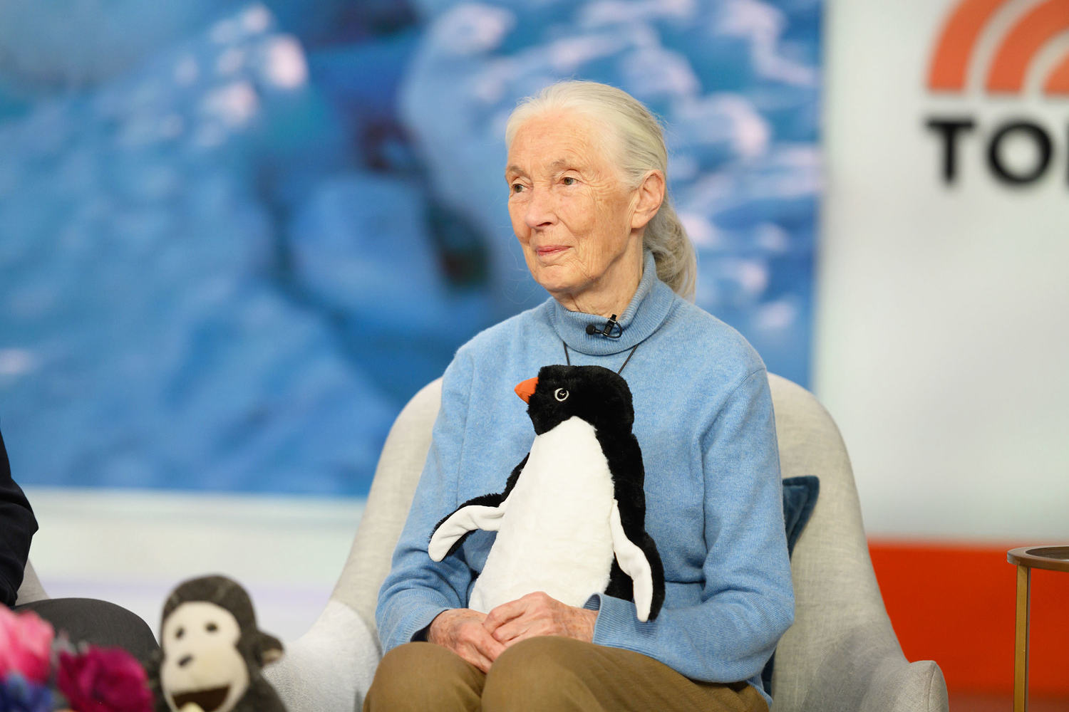 AA1NJFL6 Jane Goodall Meninggal di Usia 91 Akibat Penyebab Alami. Apa Artinya?