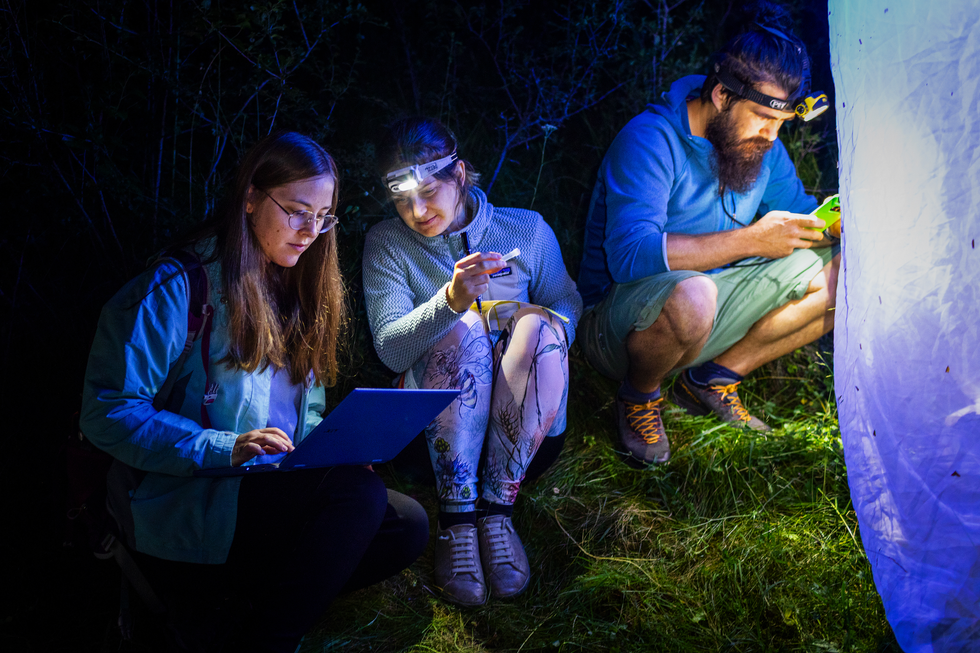 AA1NJFvl Kegiatan untuk Mengurutkan Genom Semua Hal