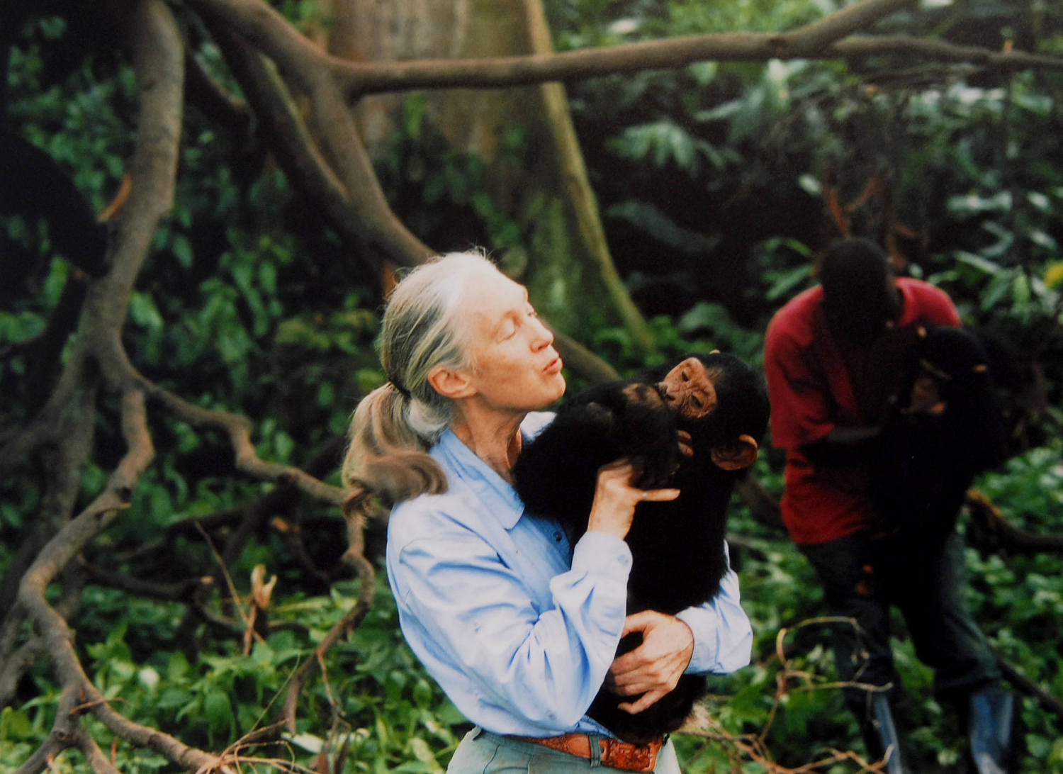 AA1NJHu8 Jane Goodall Meninggal di Usia 91 Akibat Penyebab Alami. Apa Artinya?
